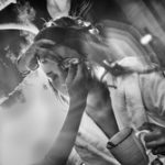hochzeitsfotograf hildesheim preise hochzeitsreportage hildesheim preise hochzeitsfotograf preisliste erfahrungen preis bewertung hochzeitsbilder günstig bester 013