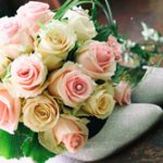 hochzeitsfotograf hildesheim preise hochzeitsreportage hildesheim preise hochzeitsfotograf preisliste erfahrungen preis bewertung hochzeitsbilder günstig bester021