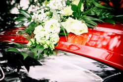 hochzeitsfotograf celle preise hochzeitsreportage celle preise hochzeitsfotograf preisliste erfahrungen bewertung preise hochzeitsfotografin celle günstig 0