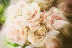 hochzeitsfotograf laatzen preise hochzeitsreportage laatzen preise hochzeitsfotograf preisliste erfahrungen preise bewertung hochzeitsfotografin laatzen günstig bester laatzen