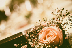 hochzeitsfotograf laatzen preise hochzeitsreportage laatzen preise hochzeitsfotograf preisliste erfahrungen preise bewertung hochzeitsfotografin laatzen günstig bester laatzen